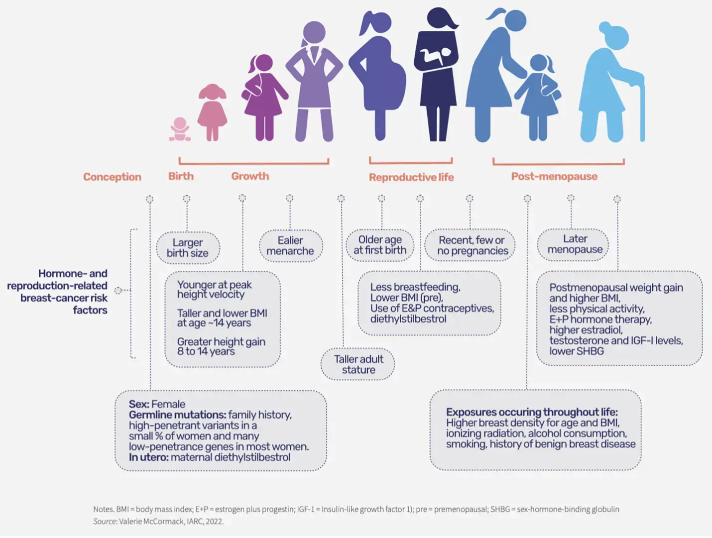 Breast cancer risk factors